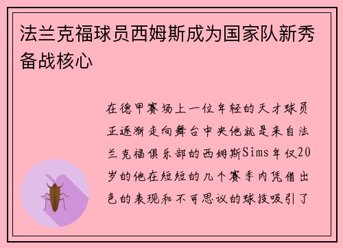 法兰克福球员西姆斯成为国家队新秀备战核心
