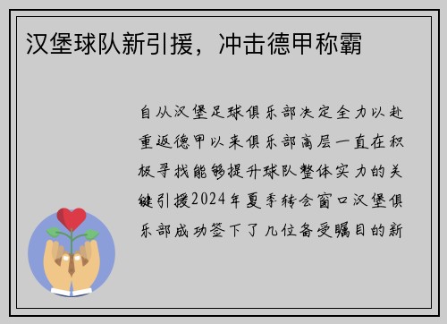 汉堡球队新引援，冲击德甲称霸